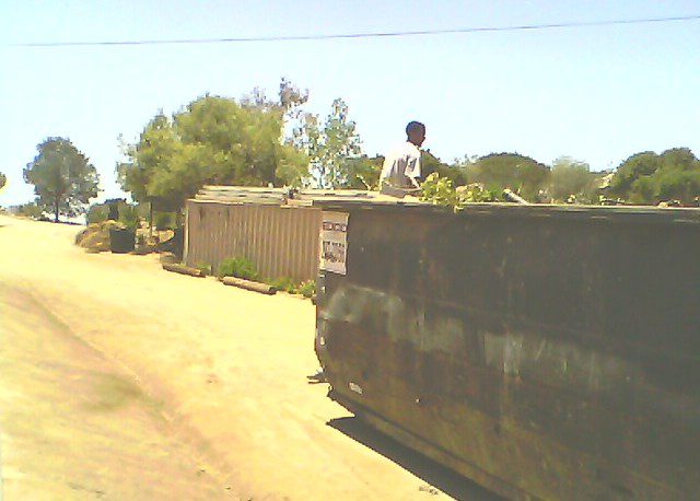 Man loading dumpster, yard debris.